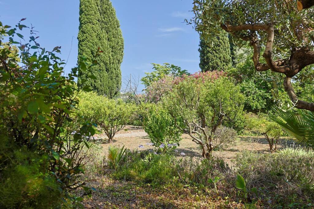 Maison De Maitre Centre Villa *