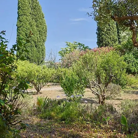 Maison De Maitre Centre Ville Hyeres Exterior photo