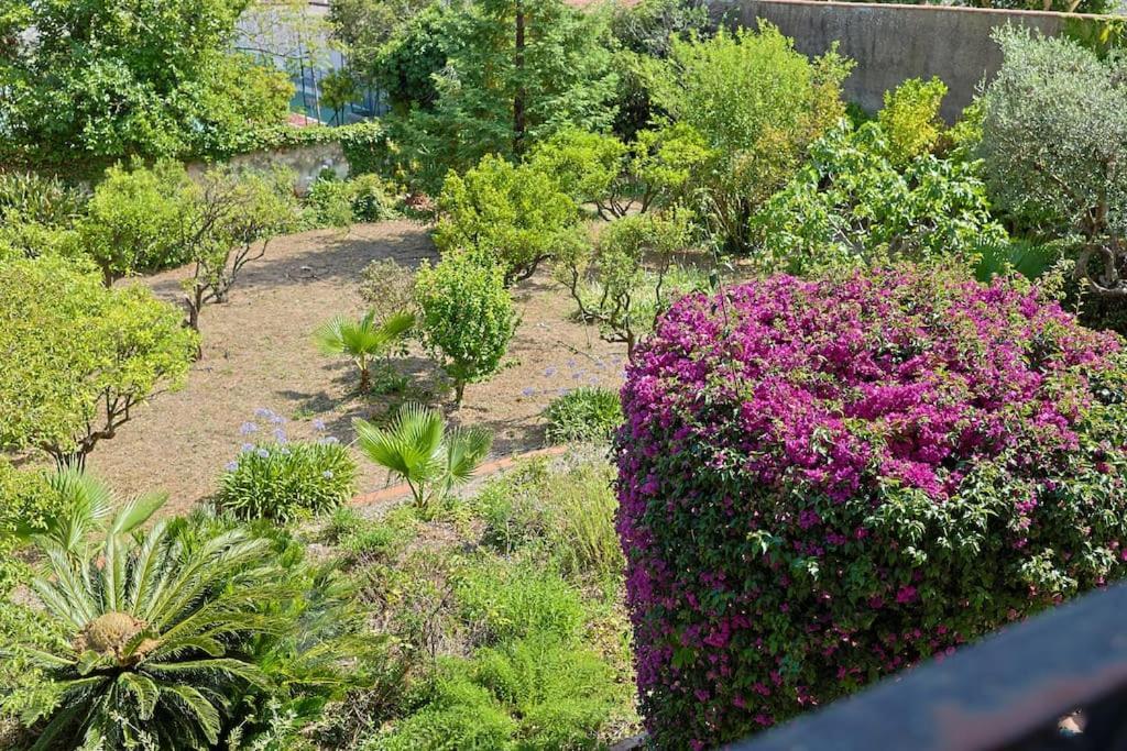 Villa Maison De Maitre Centre Hyères